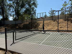Pickleball/sport court with basketball and volleyball