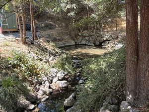 View of undeveloped land