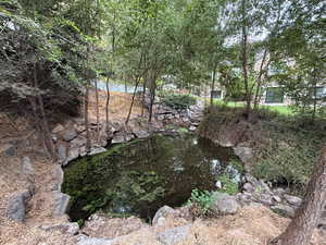 Natural spring/koi pond