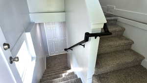 Stairs with carpet