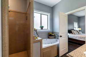 Bathroom featuring walk in shower, a jetted tub, ensuite bathroom, and vanity