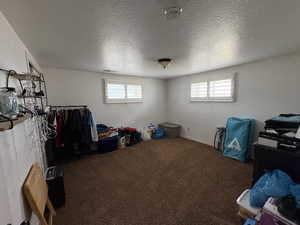 Bedroom with carpet, multiple windows, and a textured ceiling
