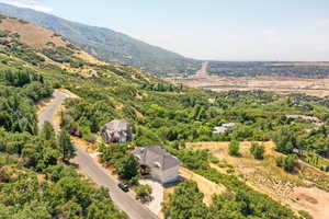 Bird's eye view of mountains
