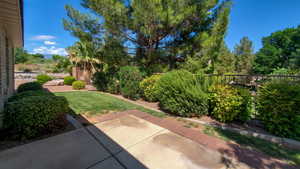 View of yard with a patio