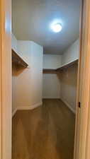 Spacious closet with carpet