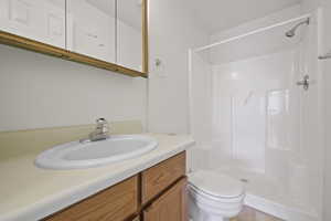 Full bathroom featuring vanity and a shower