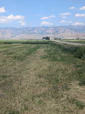 front of property by the road access