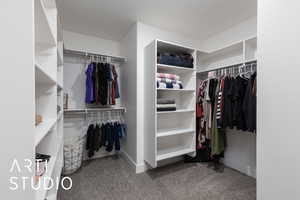 Spacious closet featuring carpet floors