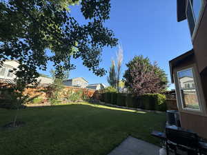 View of fenced backyard