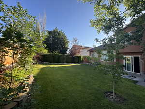 View of fenced backyard