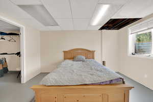 Bedroom featuring a paneled ceiling, a spacious closet, and finished concrete flooring