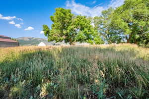 View of local wilderness with mountains