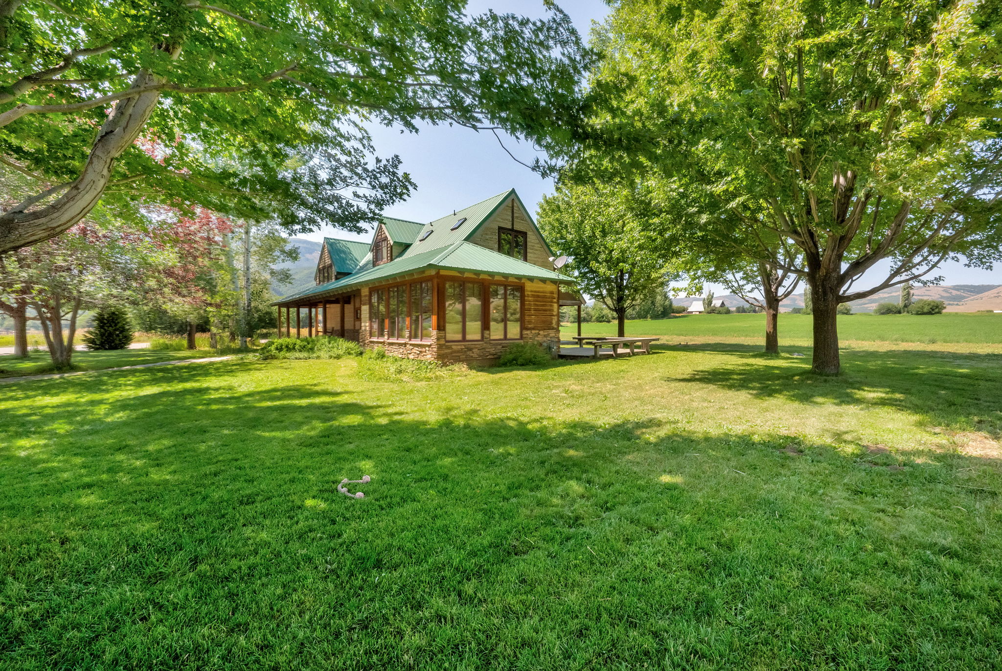 View of grassy yard