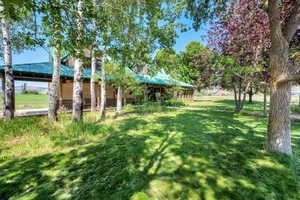 View of grassy yard