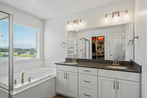 Full bathroom featuring a shower stall, double vanity, a bath, and a spacious closet