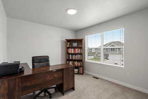 Office featuring light carpet and a textured ceiling
