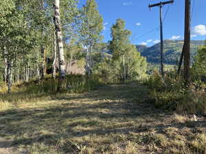 View of yard with a mountain view