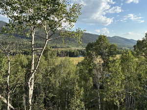 View off of back deck