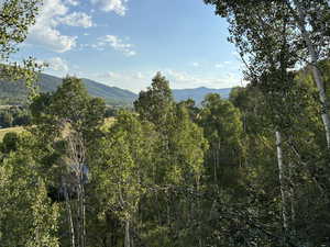 View off of back deck