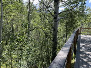 Trees on side of cabin