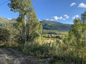 View of mountain background with a forest