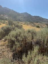 View of mountain background