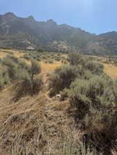 View of mountain background