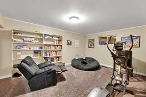Exercise room featuring crown molding, carpet, a textured ceiling, and wood walls