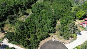 Aerial view of property's location featuring a forest