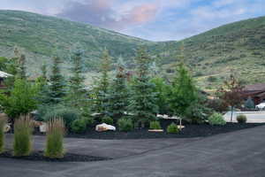 View of mountain background