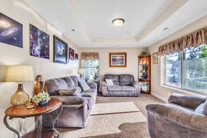 Living area featuring a tray ceiling and carpet