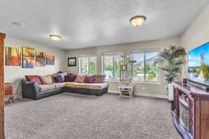 Upstairs  Living room with a textured ceiling and carpet flooring