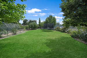 View of yard with a trampoline