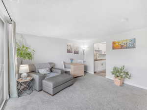 Living room featuring light carpet and a textured ceiling