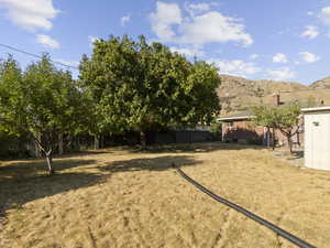 View of yard with a mountain view