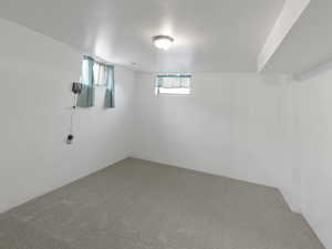 Basement featuring carpet