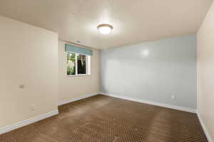 Spare room featuring carpet flooring and a textured ceiling