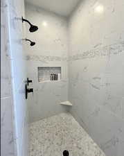 Full bathroom with tiled shower