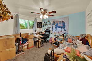 Office featuring carpet and ceiling fan