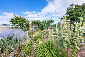 View of yard featuring a vegetable garden