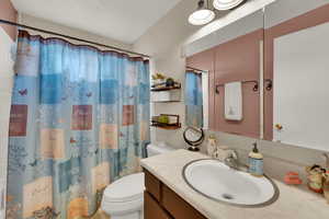 Full bathroom with vanity and a shower with curtain
