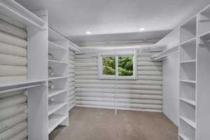 Spacious primary closet featuring carpet floors