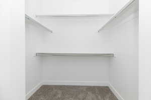 Spacious closet with carpet flooring