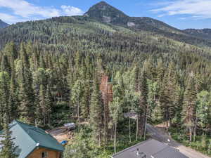 Mountain view featuring a heavily wooded area
