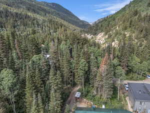 View of mountain backdrop with a forest