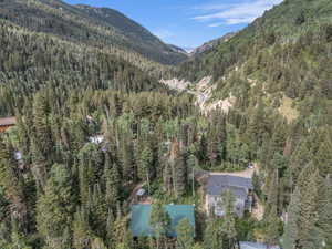 View of mountain background with a forest