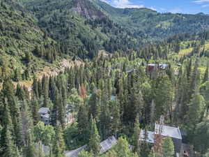 Mountain view featuring a heavily wooded area