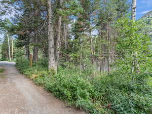 View of undeveloped land