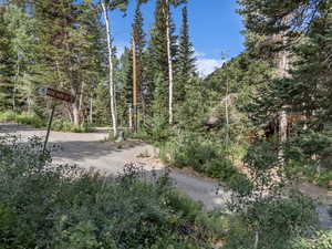 View of road with a wooded view