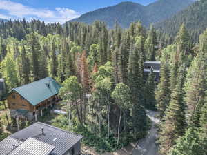 Mountain view featuring a forest